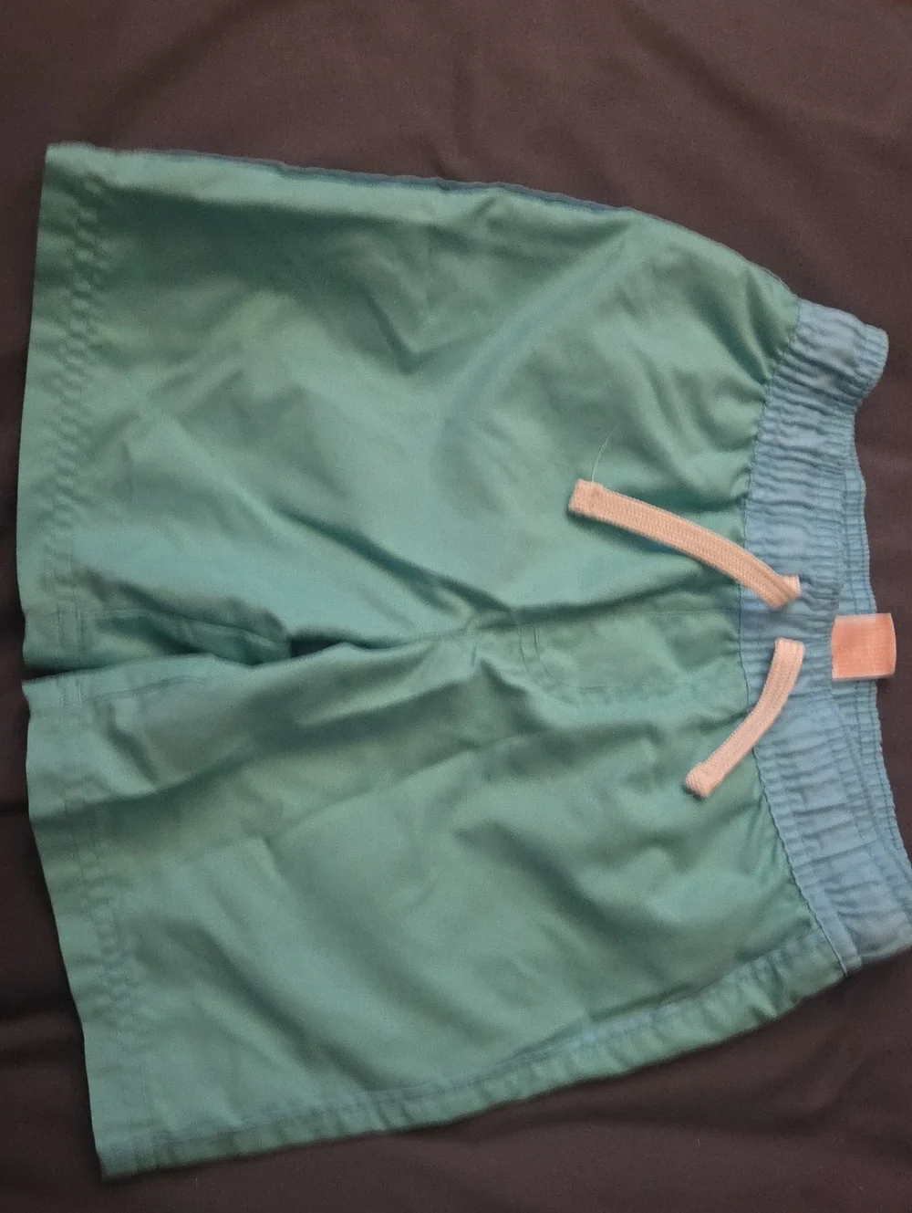 Cat & Jack Boys Mint Green Swim Trunks